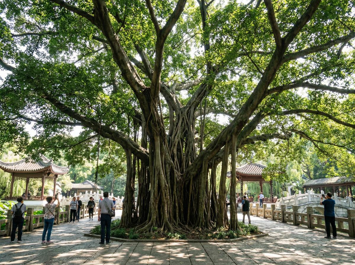 麻豆传媒社区顾问王雅琴